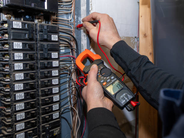 Best Electrical Troubleshooting Services  in Fox Lake Hls, IL